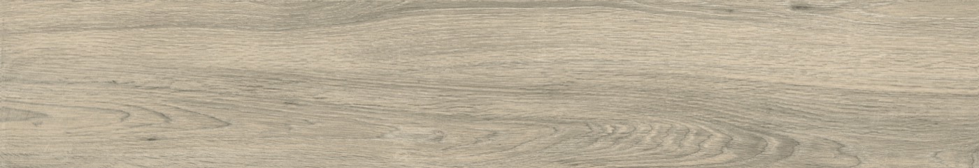 Allegheny Taupe Punch Matt porcelain wood plank